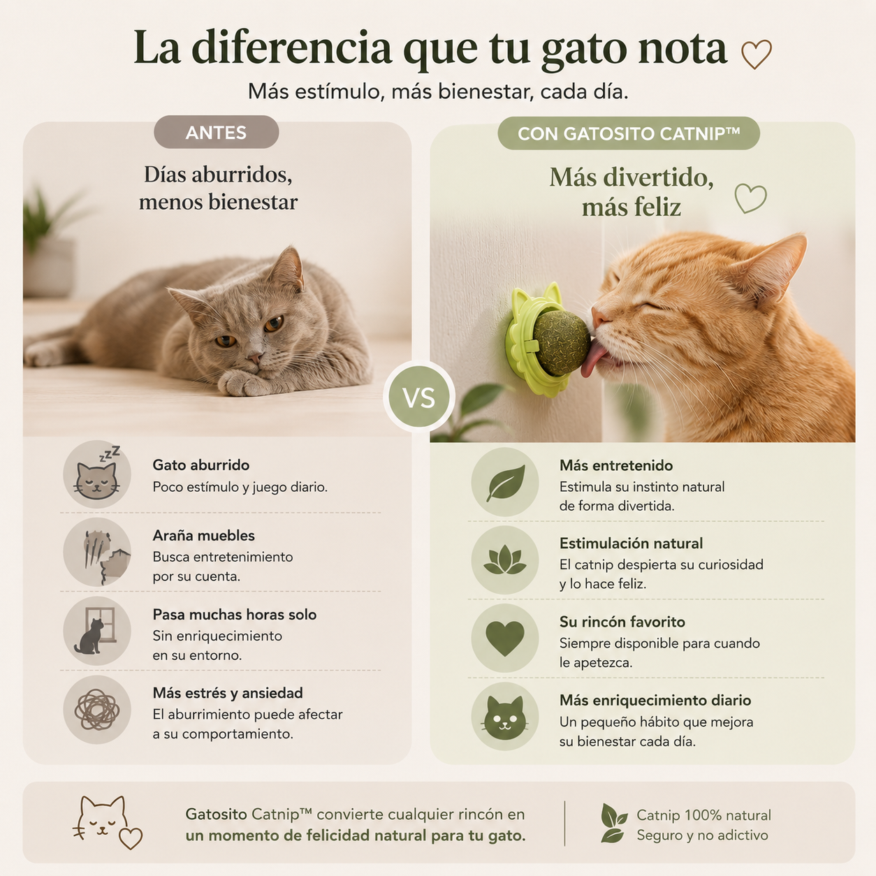 Gatosito Catnip™