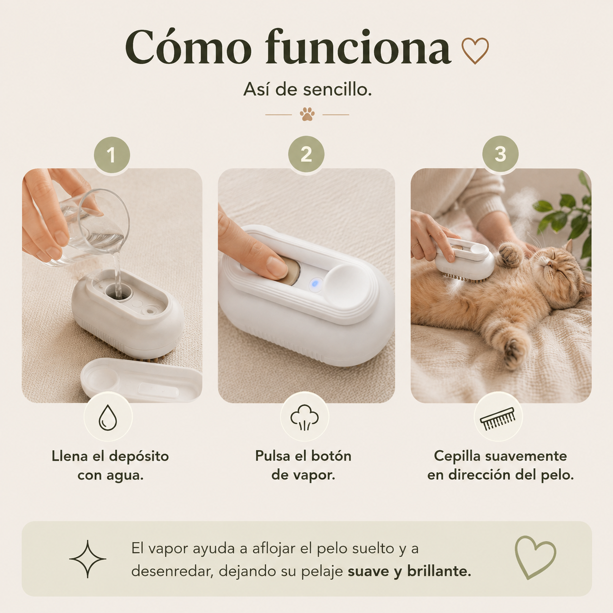 Gatosito Spa™